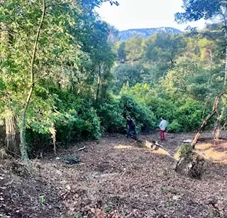 Terrain boisé en cours de nettoyage au pied d'une colline varoise